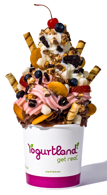 Photo of an extra large cup of Yogurtland yogurt with bountiful toppings.