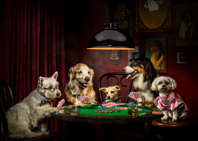 Photograph of Dogs Playing Poker